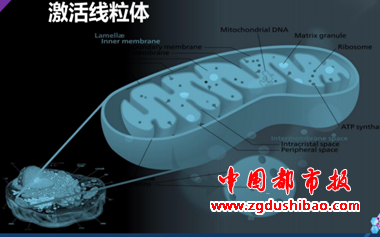 微信图片_20250615124602