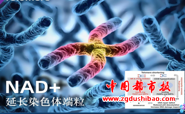 微信图片_20250615124605