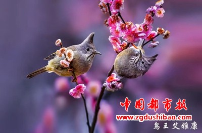 微信图片_20250618150812