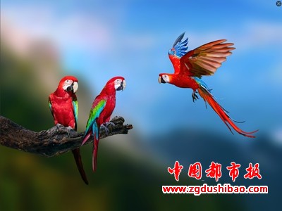 微信图片_20250618150822