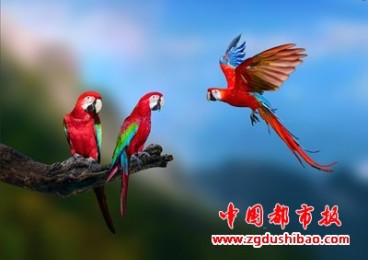 Ҥɻչ߽簮ڣǧڹ̬֮